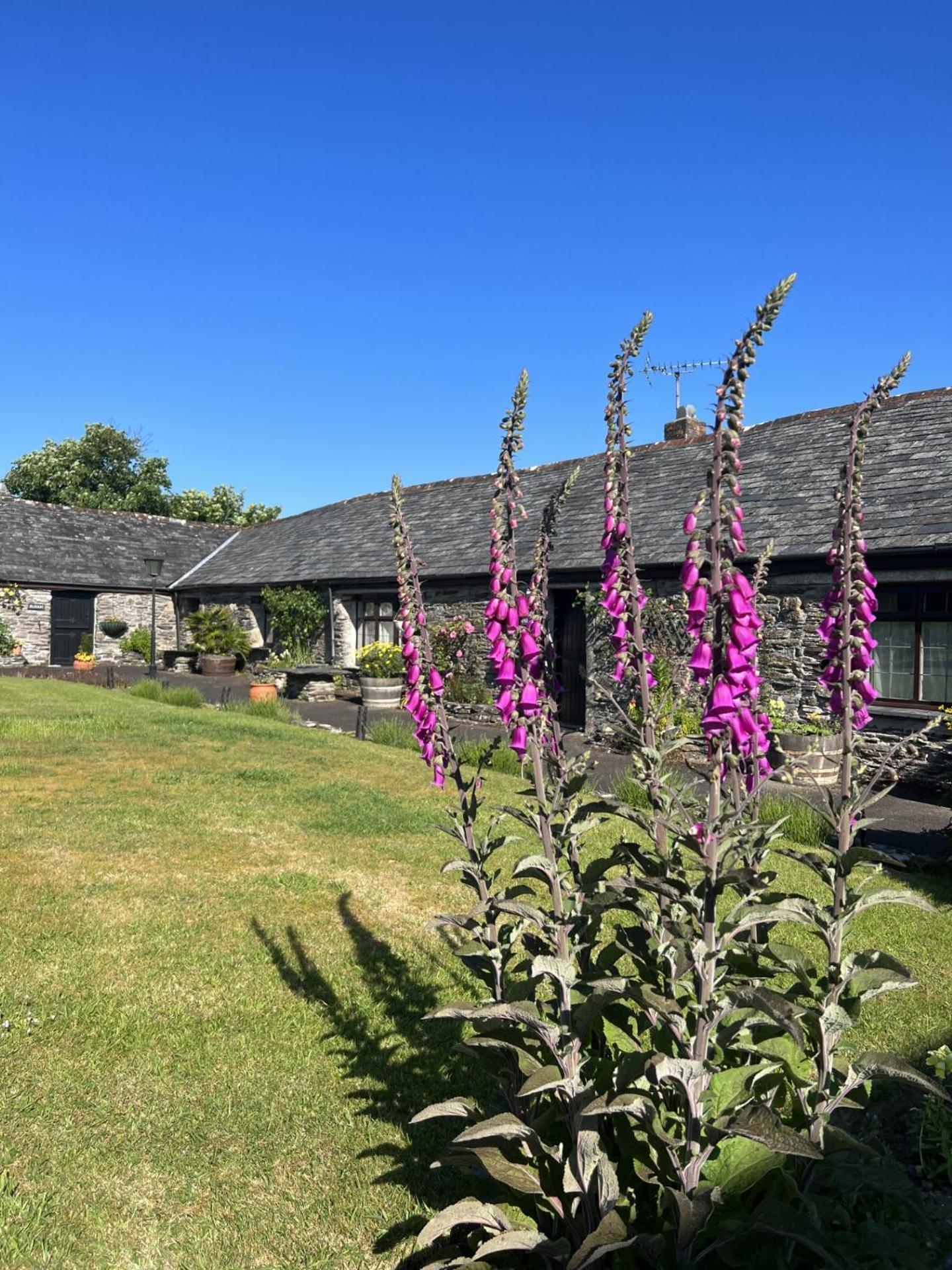 Courtyard Farm Cottages Боскасл Екстер'єр фото